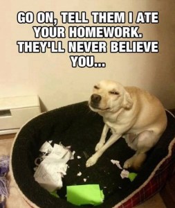 Funny-Dog-Go-On-Tell-Them-I-Ate-Your-Homework-They-Will-Never-Believe-You