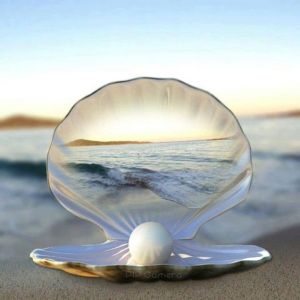 pearl of great price